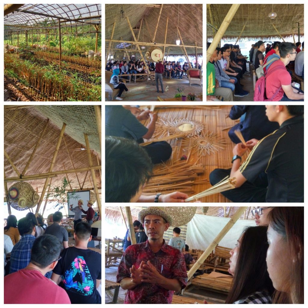 bambu 1